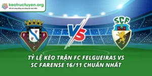 Tỷ Lệ Kèo Trận FC Felgueiras Vs SC Farense 16/11
